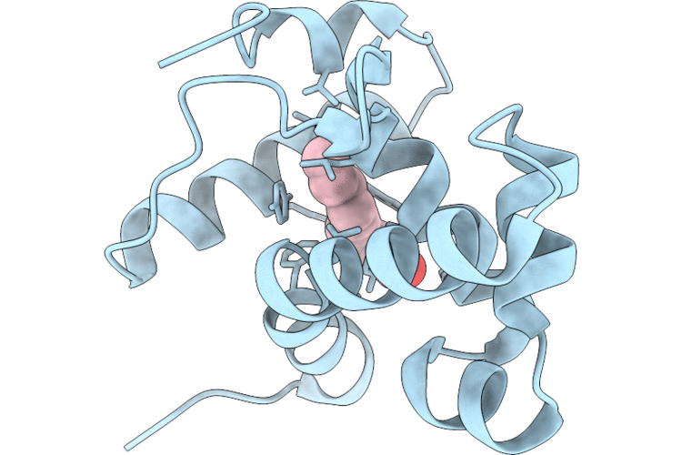 9YBS image