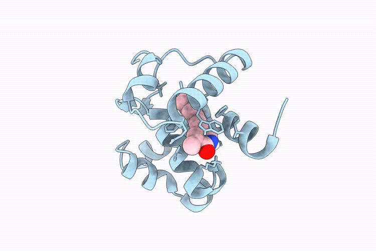 9YBT image