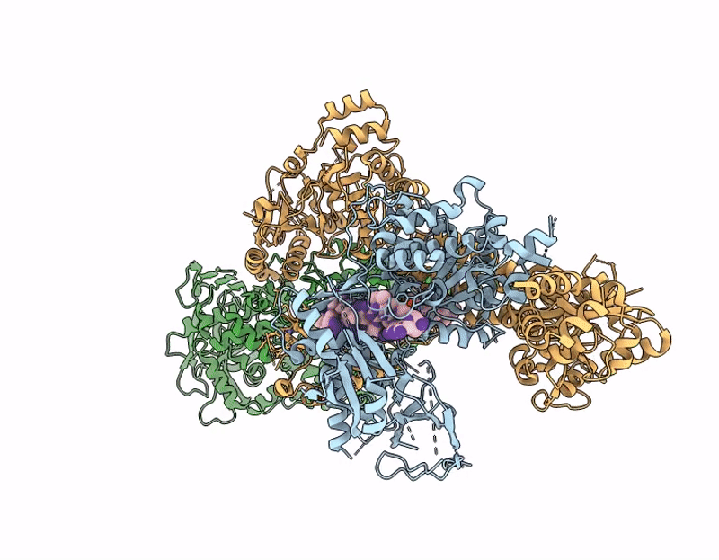 9YCV image