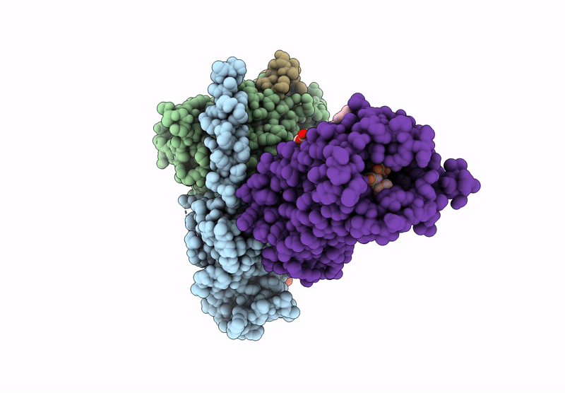 9YDR image
