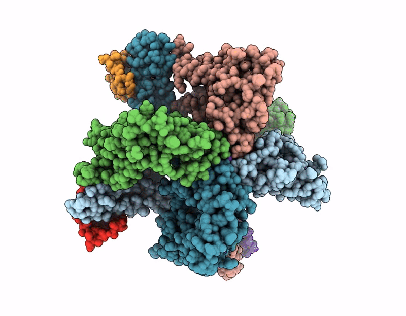 9YDZ image