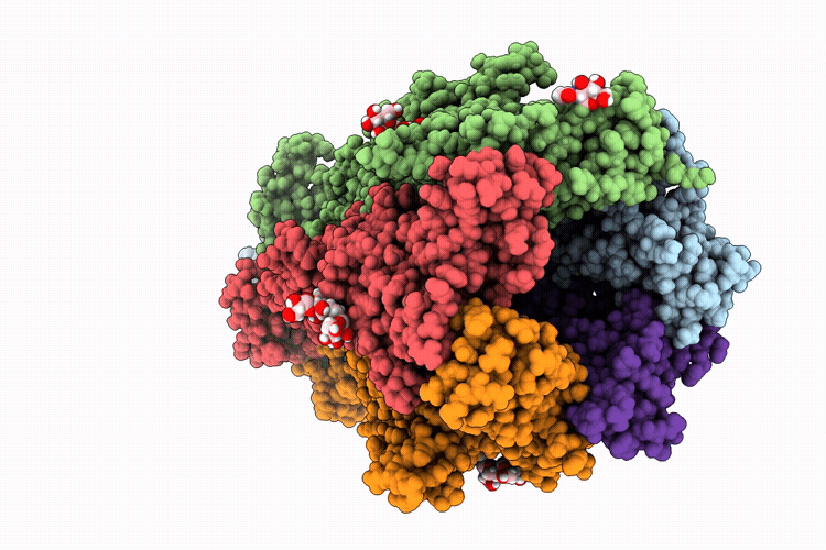 9YEX image