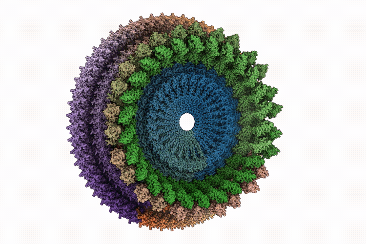 9YFG image