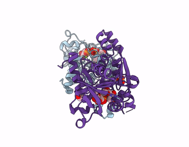 9YFI image