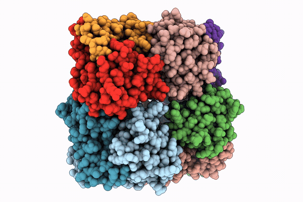 9YGL image