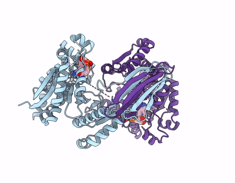 9YHB image