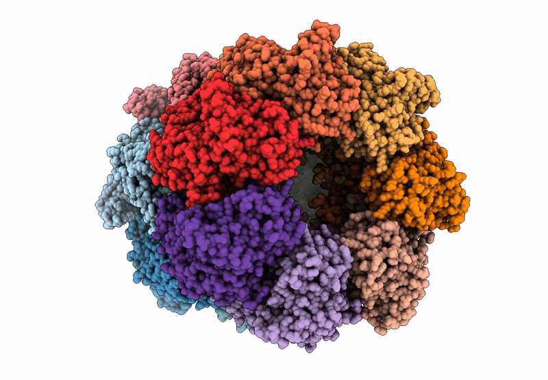 9YKC image