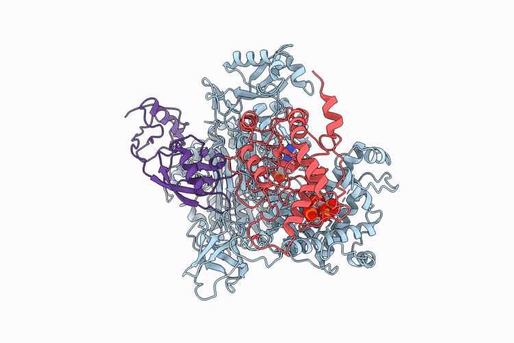 9YLB image