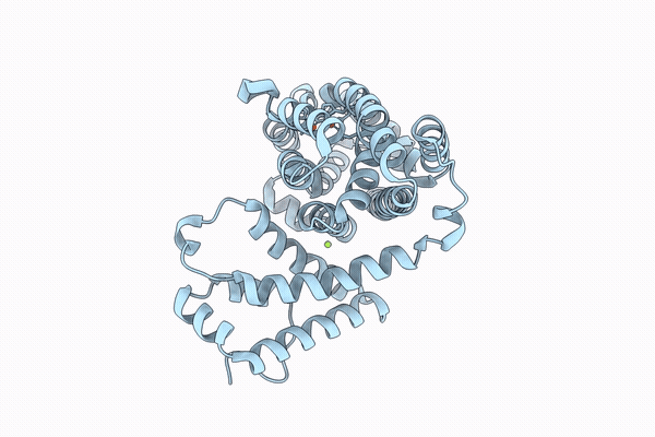 9YLC image