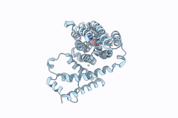 9YLD image