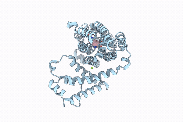 9YLG image