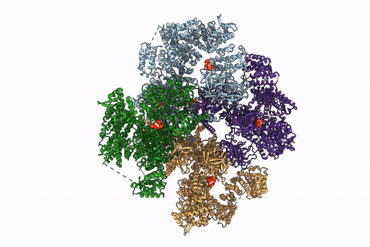 9YLI image