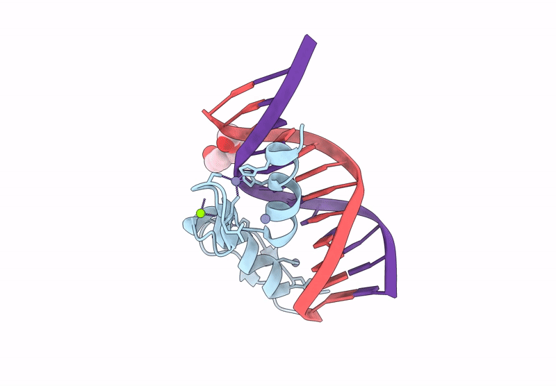 9YLP image