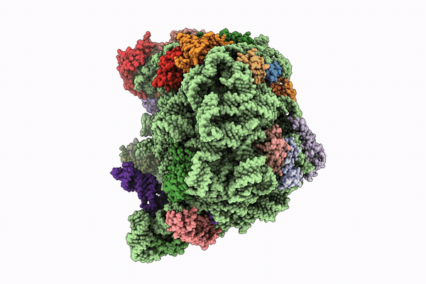 9YLQ image