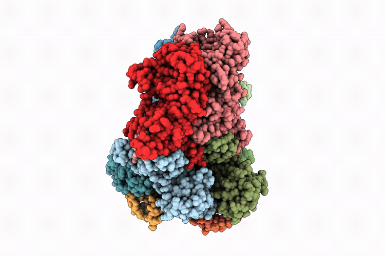 9YLU image