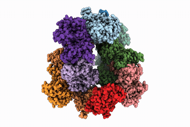 9YLV image