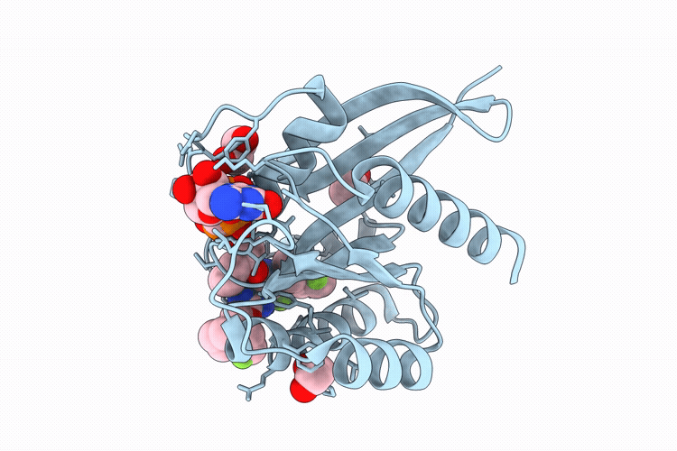 9YMR image