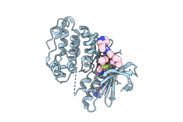 9YMT image