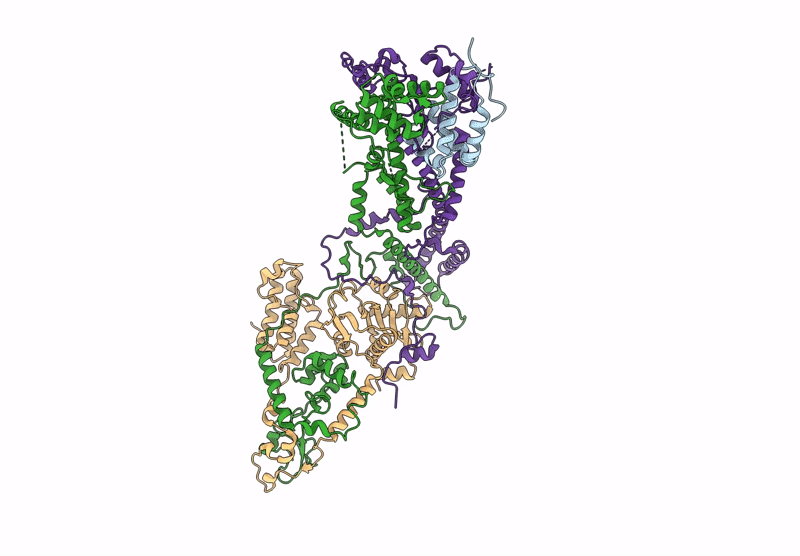 9YNV image