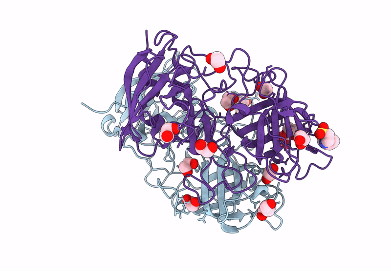 9YP1 image
