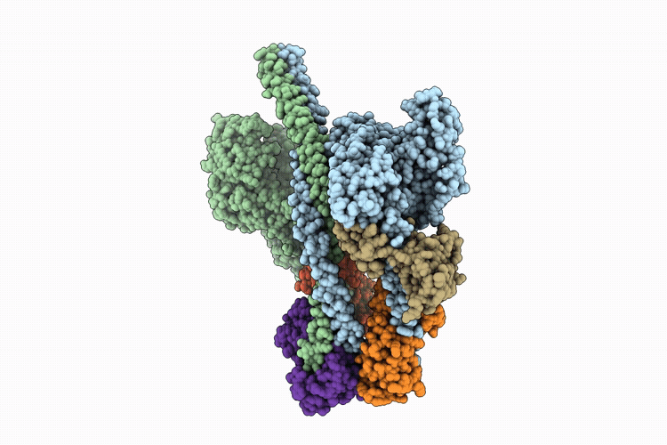 9YP4 image
