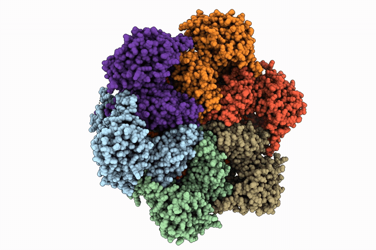 9YP6 image