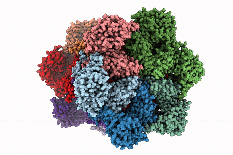 9YP8 image