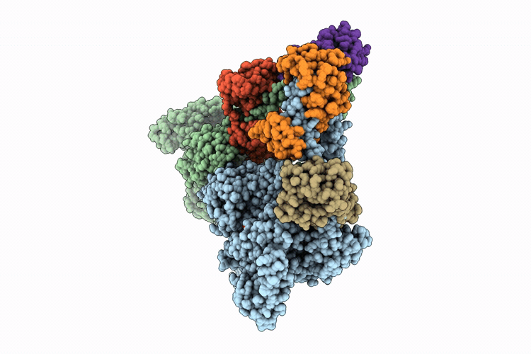 9YP9 image