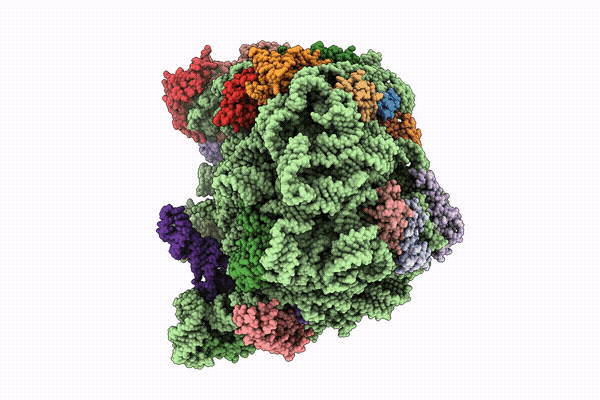 9YPH image