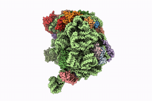 9YPN image