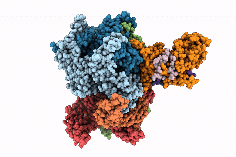 9YRC image