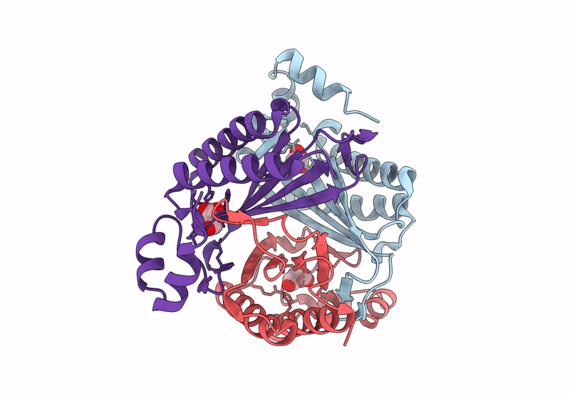 9YRJ image