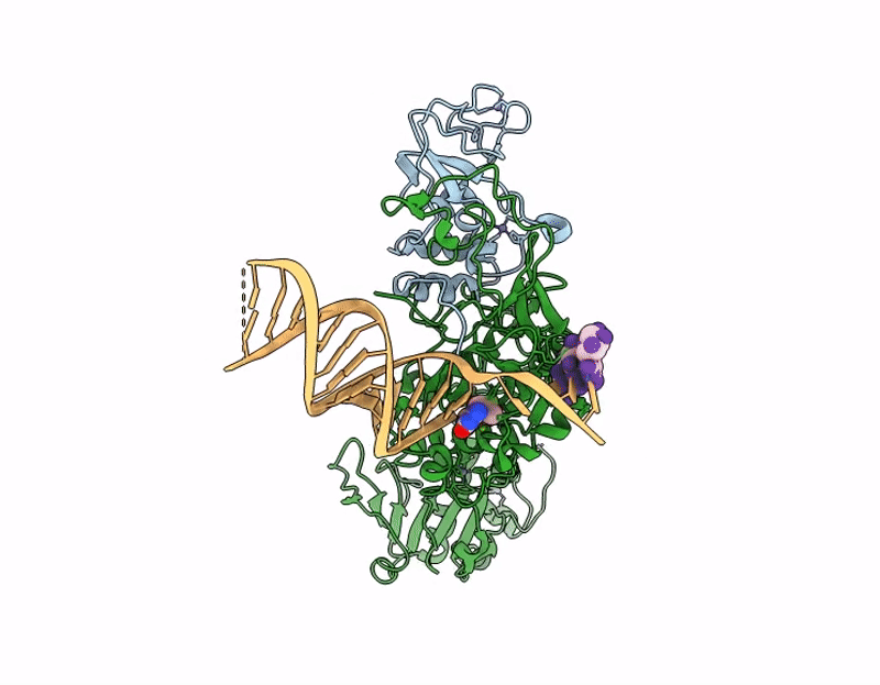 9YRL image