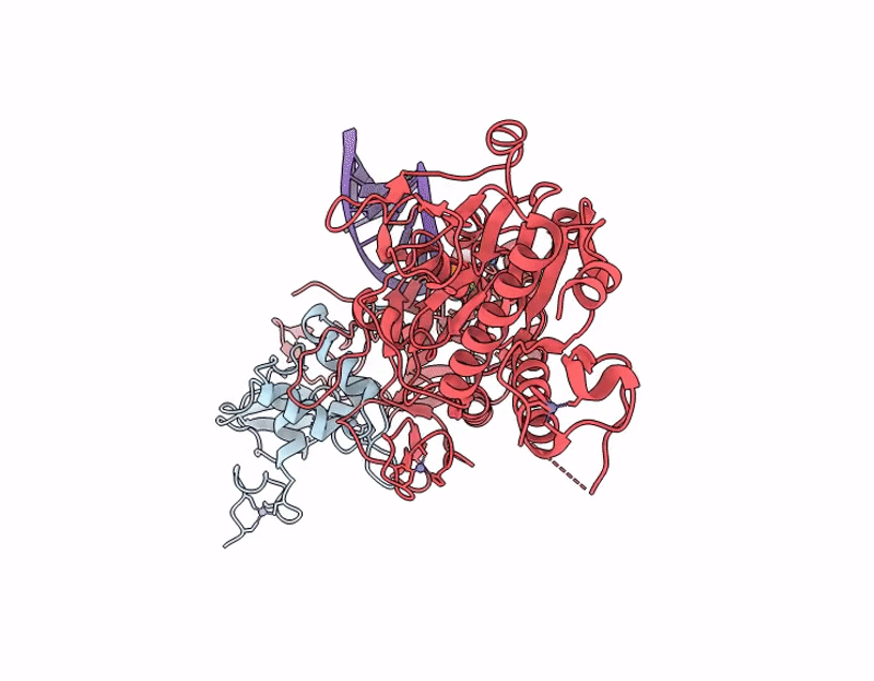 9YRO image