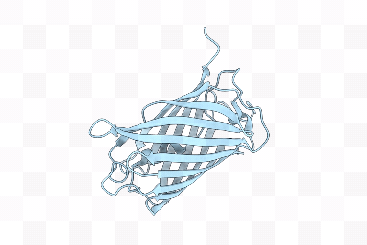 9YVX image