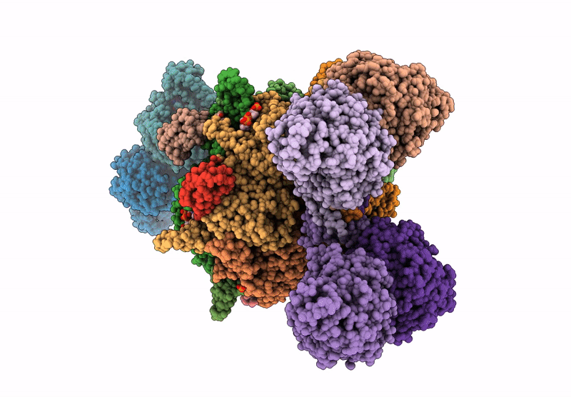 9YX2 image