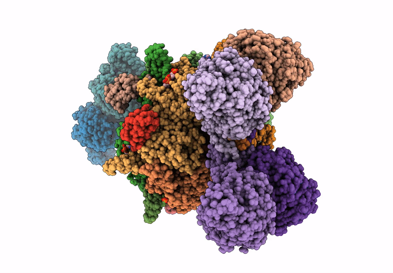 9YX4 image