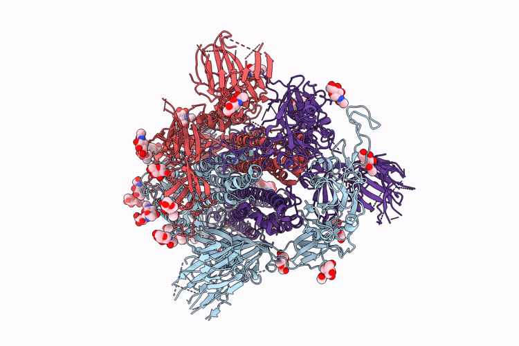 9YX6 image