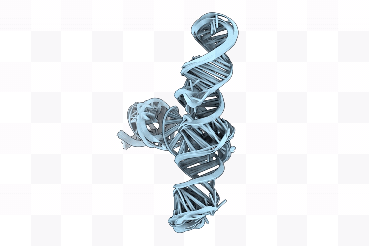 9YX9 image