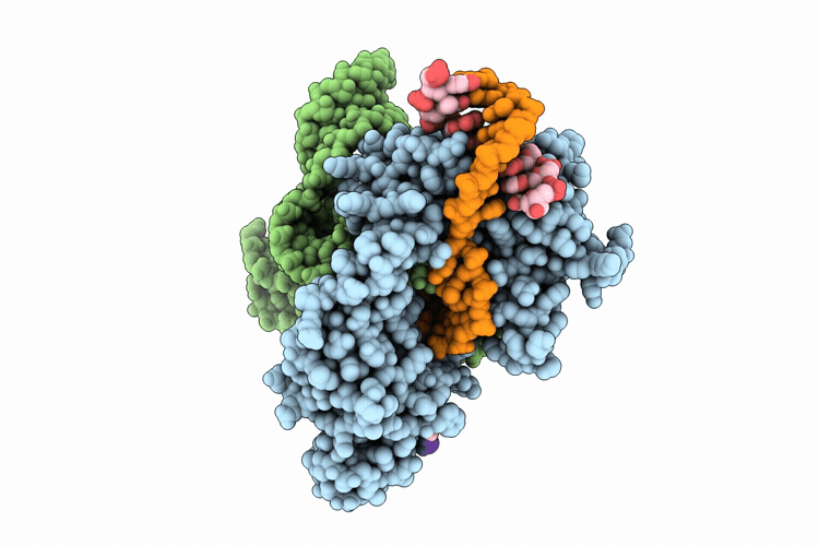 9YYH image