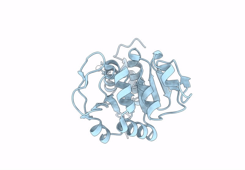 9YZV image