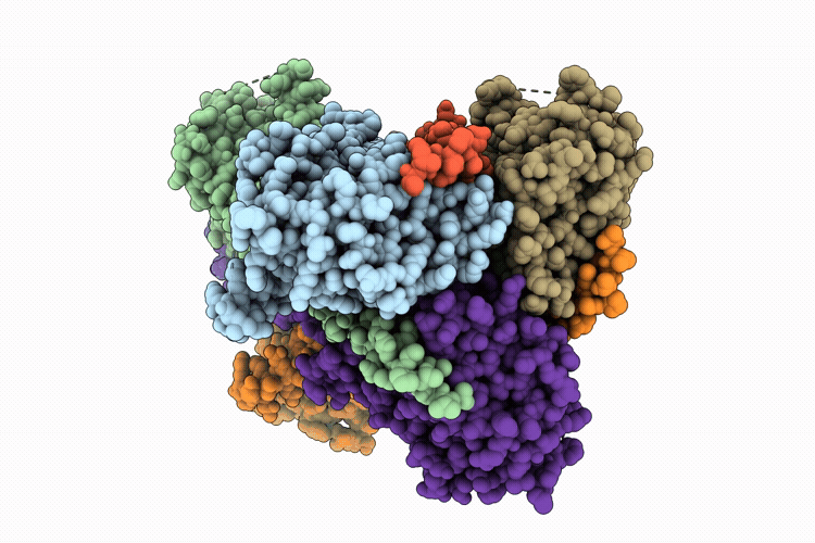 9Z06 image