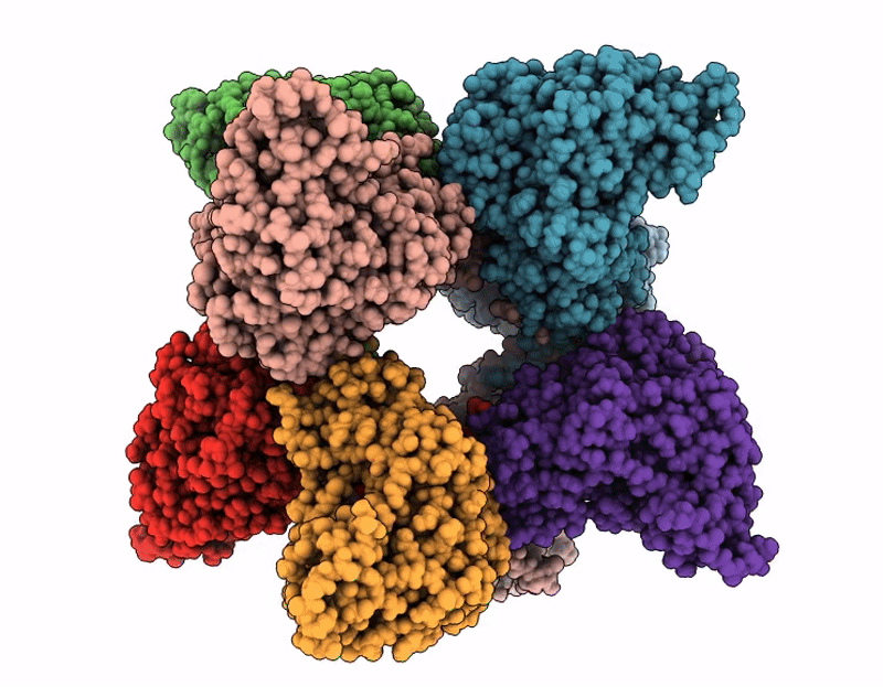 9Z2D image