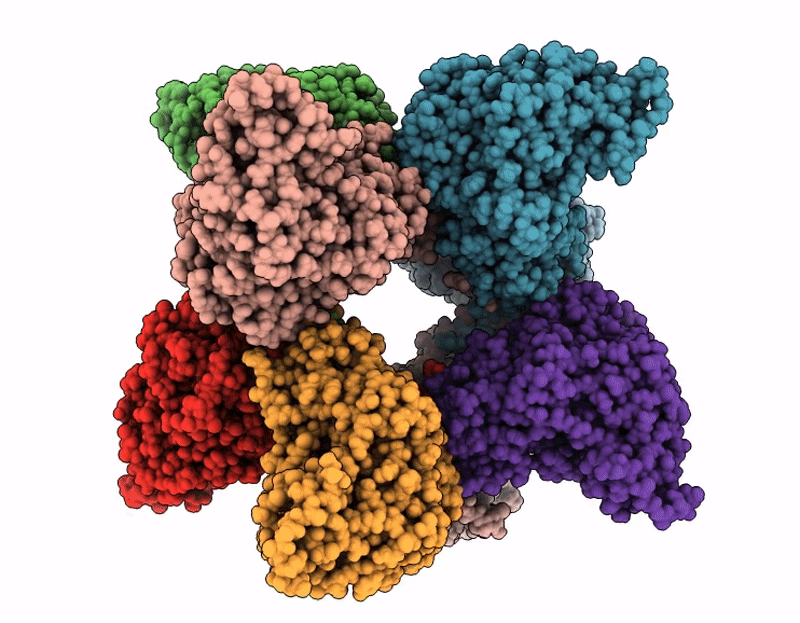 9Z2F image