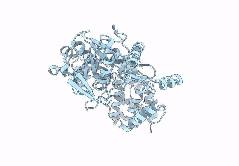 9Z2X image