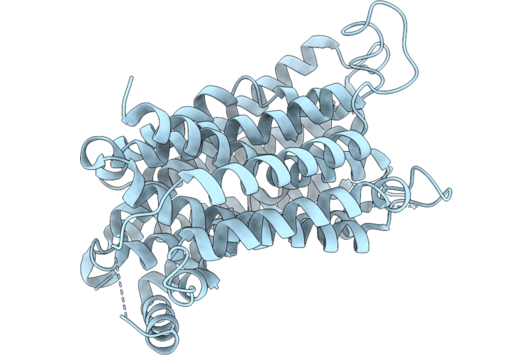 9Z5I image