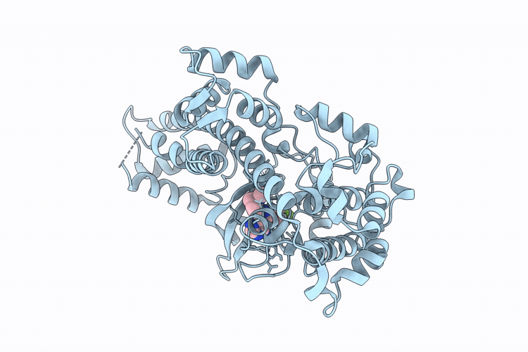 9Z5L image
