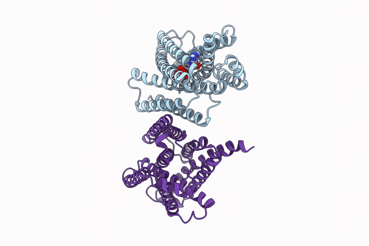 9Z7T image