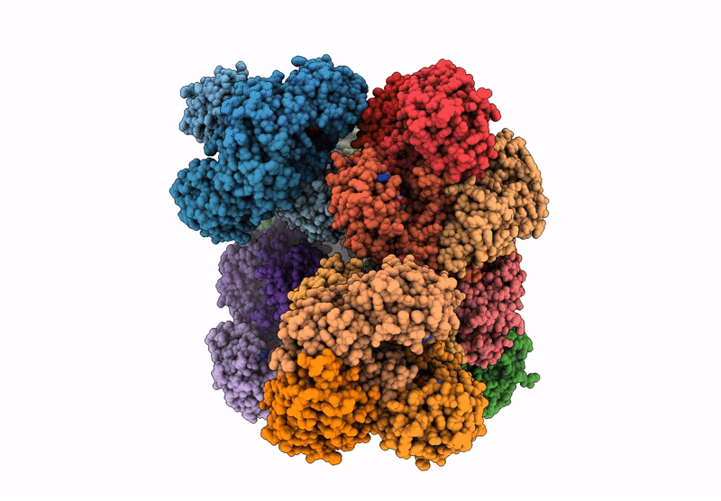 9Z9C image