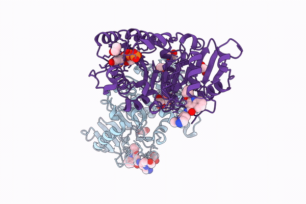 9ZB2 image